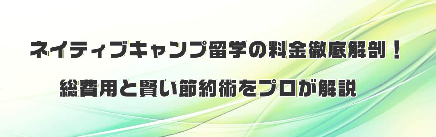 �l�C�e�B�u�L�����v���w�̗����O���U�I����p�ƌ����ߖ�p���v�������